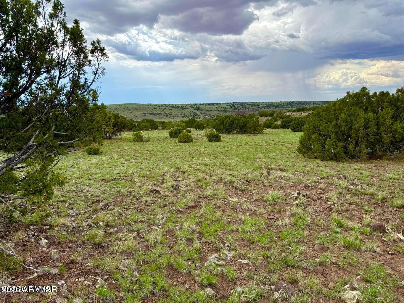 108 Co Road Concho, AZ 85924 - Photo 8 of 17 20260727220524643083000000-o