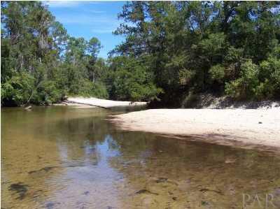 8000 Hutchins Road Milton, FL 32570 - Photo 2 of 14 Beautiful Big Cold Water Creek,complete with your own beaches!!! Over 1500 footage of this beauty could be yours. THIS CREEK IS DESIGNATED AS FLORIDA'S CANOE TRAIL.