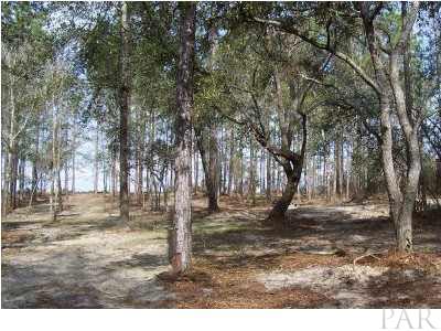 8000 Hutchins Road Milton, FL 32570 - Photo 3 of 14 Great site for a bed and breakfast, RV Campgroungd, hunting lodge church retreat property, or private gathering place.