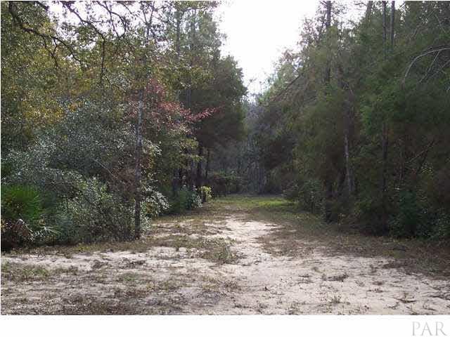 8000 Hutchins Road Milton, FL 32570 - Photo 6 of 14 Historic Three-Notch Trail runs from Ft. Barrancas, (Pensacola, FL) to Ft. Bainbridge, GA, and crosses over the property which dates back to the 1800's.