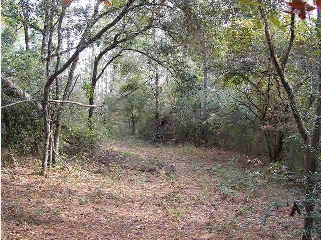 8000 Hutchins Road Milton, FL 32570 - Photo 9 of 14 Beautiful, private and peaceful hiking trails.