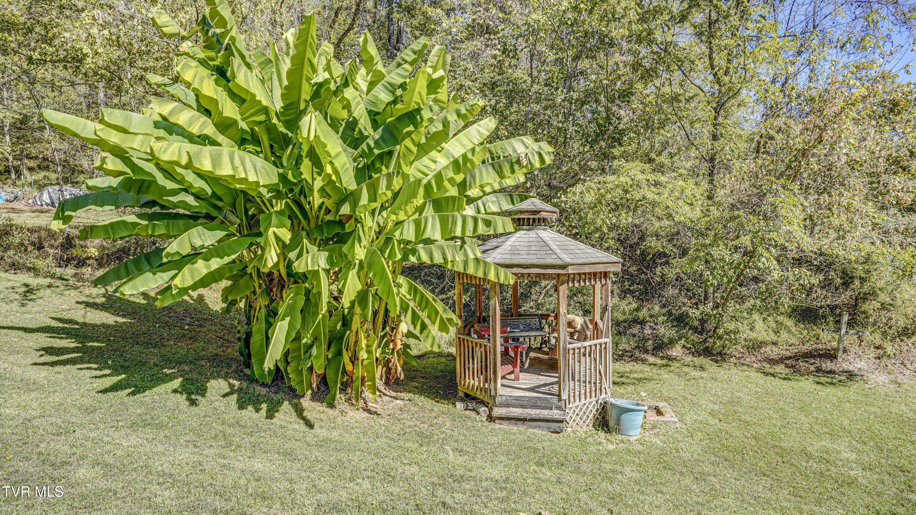 2388 Ruritan Run Road Gate City, VA 24251 - Photo 34 of 72 _DSC1204_5_6_7_8