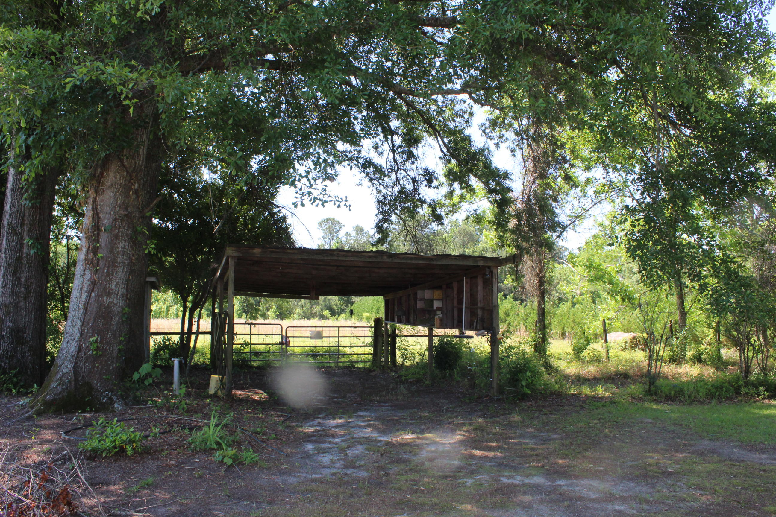 1387 Edgewater Road Pineville, SC 29468 - Photo 36 of 38 IMG_2811