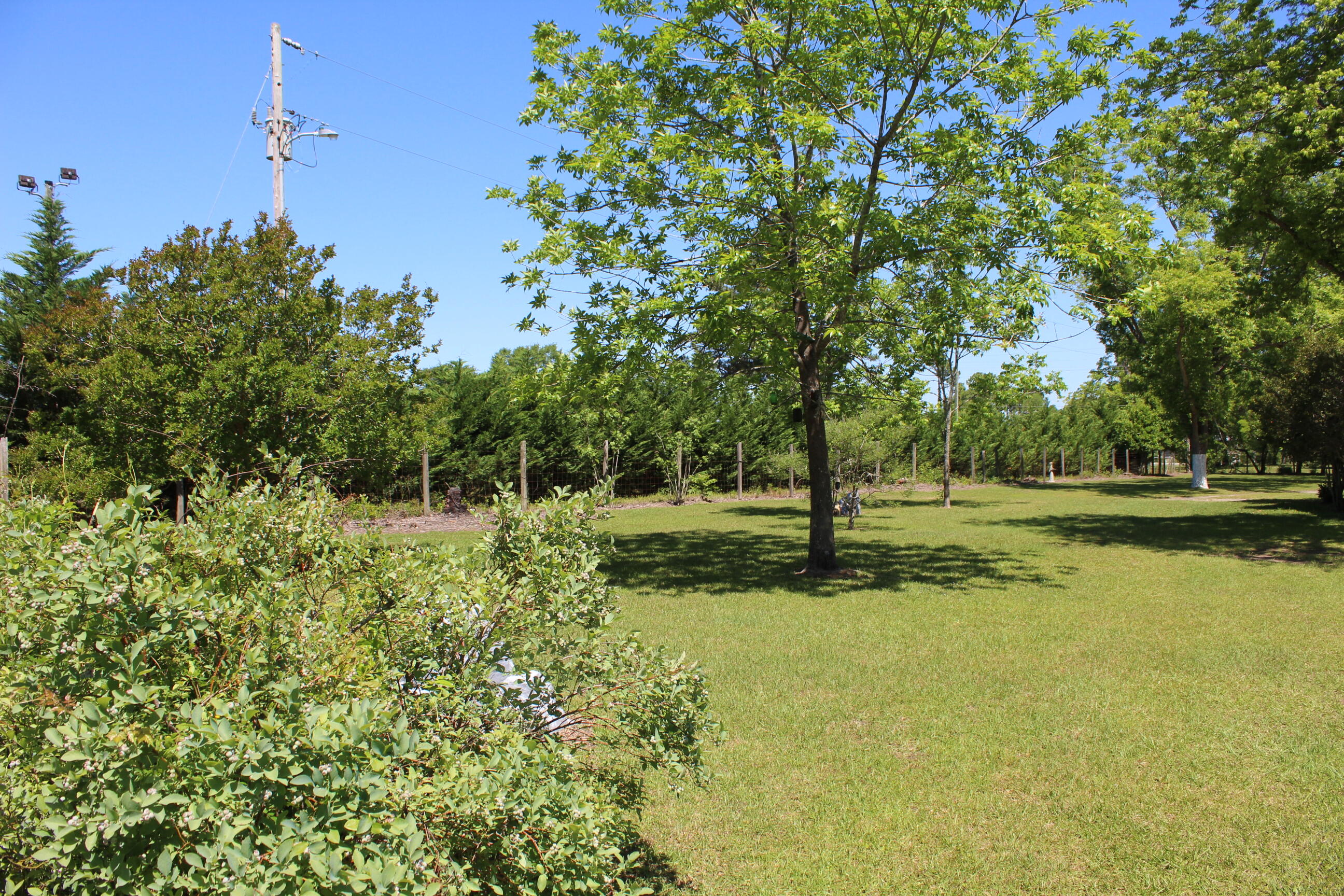 1387 Edgewater Road Pineville, SC 29468 - Photo 9 of 38 IMG_2816