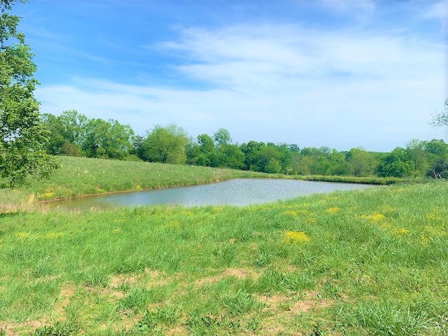 237 Coble Road Shelbyville, TN 37160 - Photo 43 of 50 Gallery Image 43