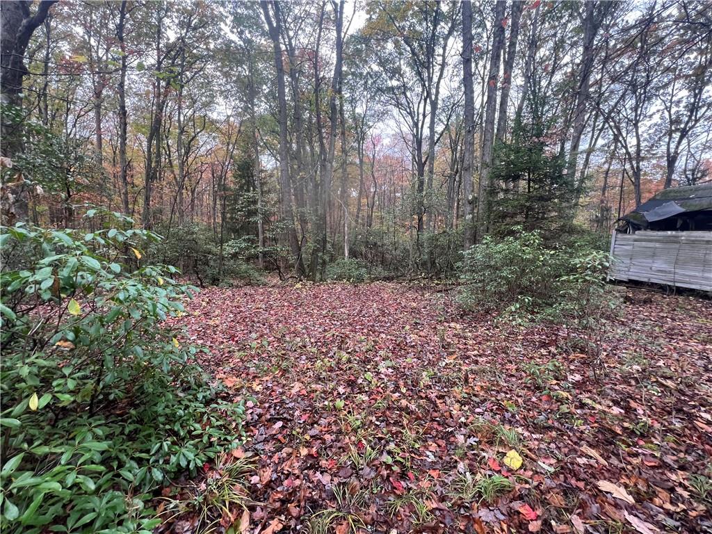 2168 Dinner Bell - 5 Forks Road Farmington, PA 15437 - Photo 5 of 13 a view of backyard with green space