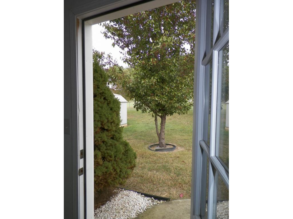303 Reed Avenue Greeneville, TN 37743 - Photo 13 of 36 Upper garage into yard