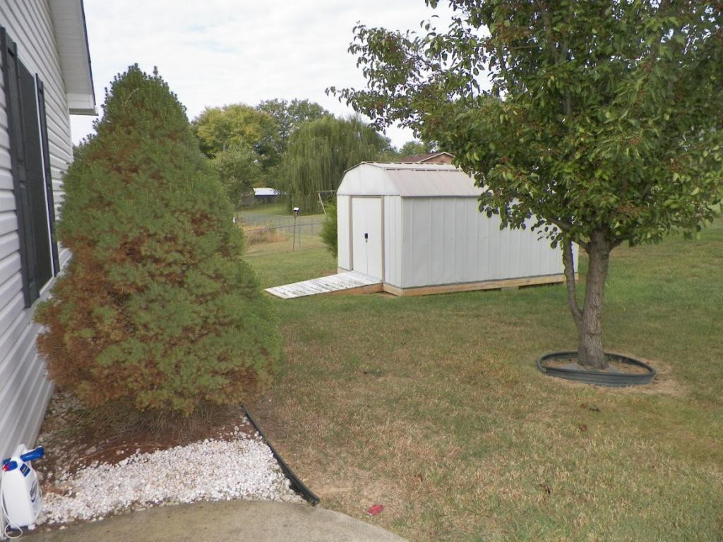 303 Reed Avenue Greeneville, TN 37743 - Photo 14 of 36 Outbuilding in fenced area