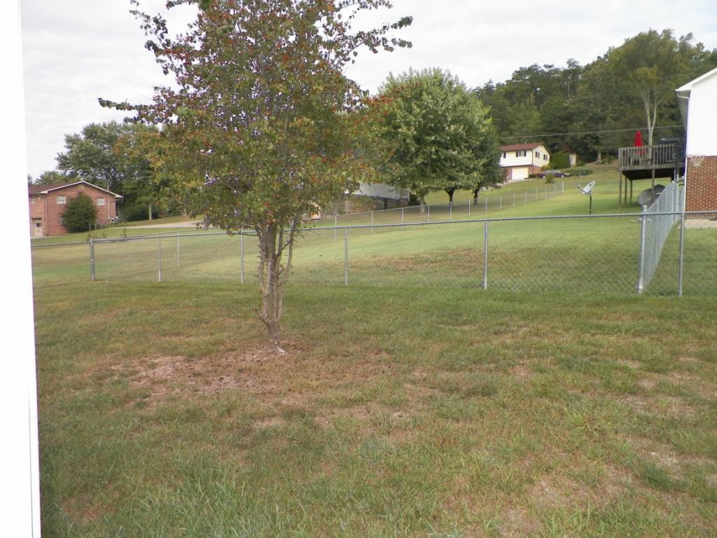 303 Reed Avenue Greeneville, TN 37743 - Photo 15 of 36 Toward neighbors