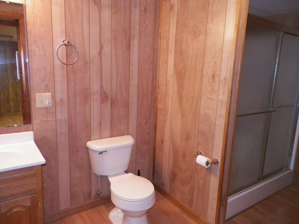 303 Reed Avenue Greeneville, TN 37743 - Photo 28 of 36 Downstairs full bath