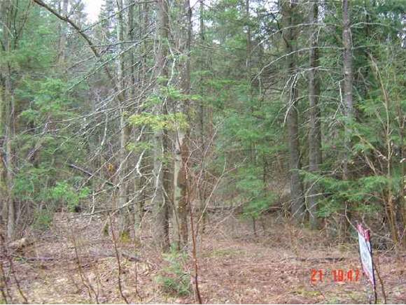 Off Collins Mill Road Newport Town, VT 05857 - Photo 1 of 1