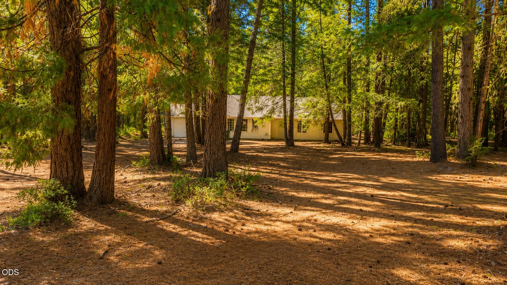 1110 Naue Way Cave Junction, OR 97523 - Photo 14 of 14