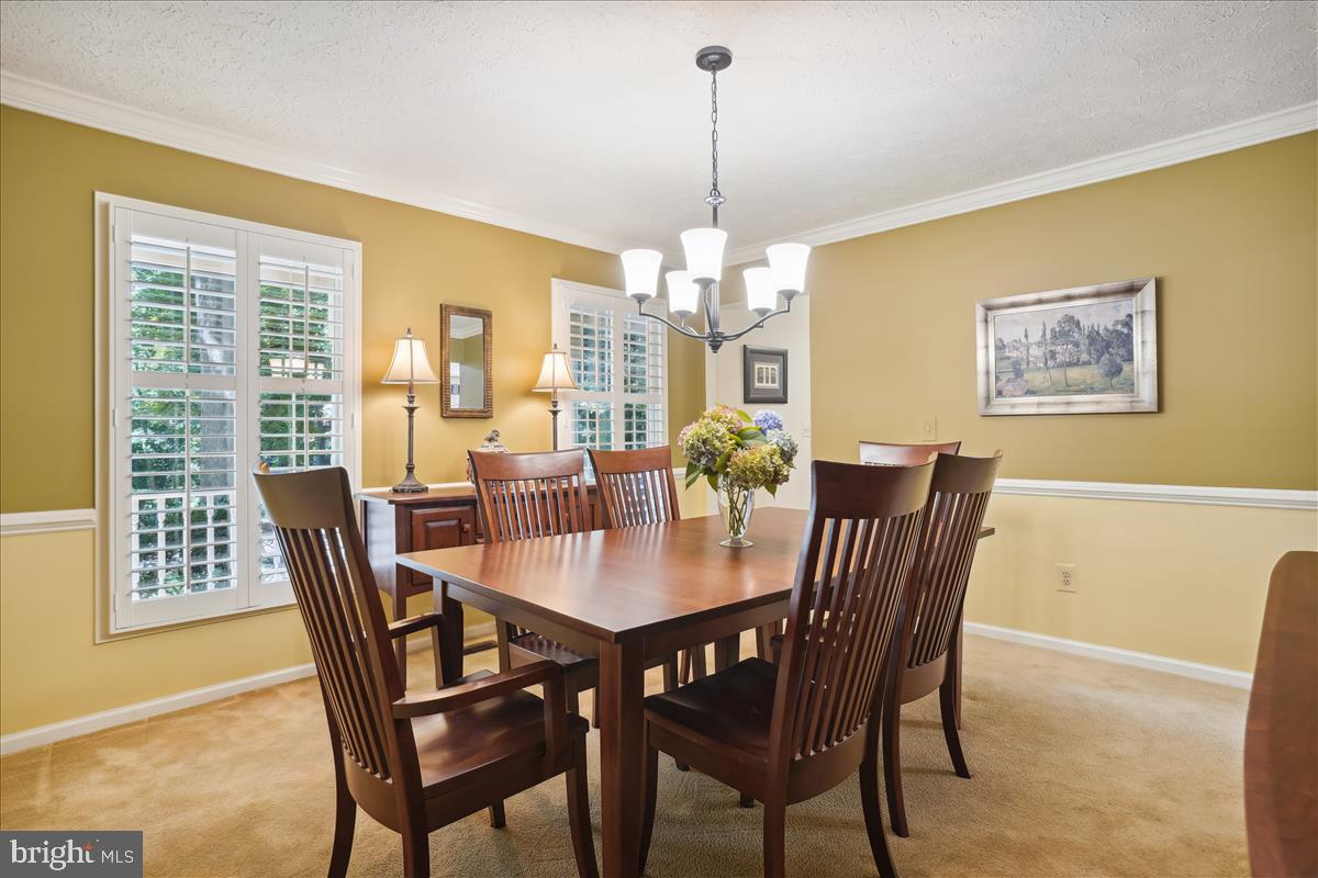 1307 Quail Ridge Drive Reston, VA 20194 - Photo 22 of 67 DR View 3