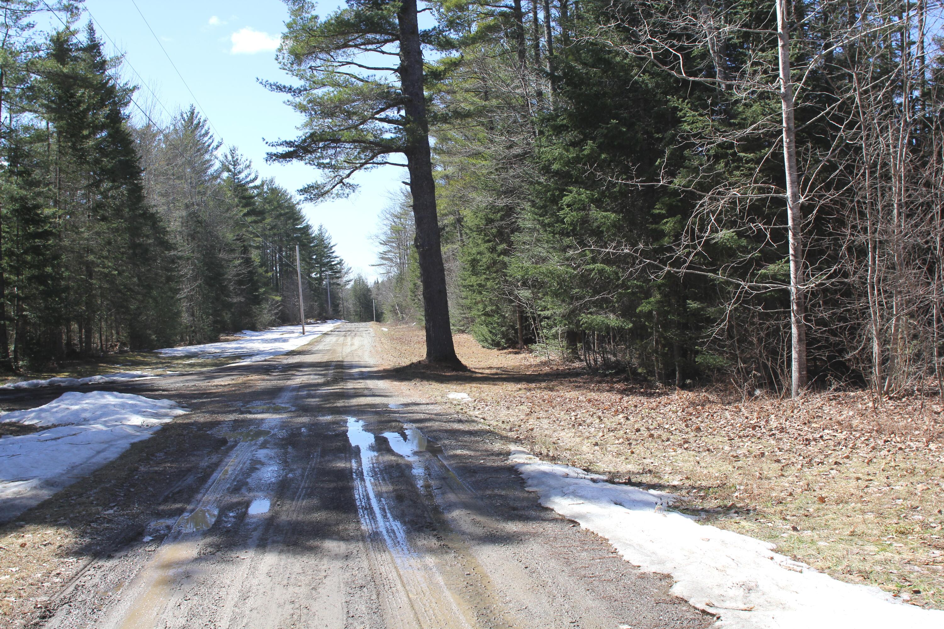 M4-l4 Spaulding Road Palmyra, ME 04965 - Photo 3 of 3 IMG_8098