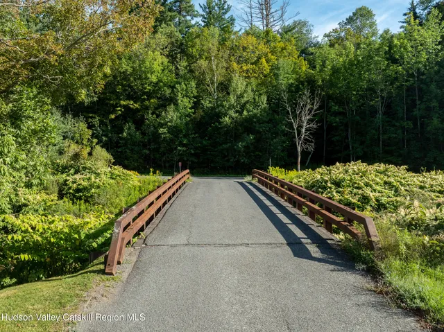 a view of a backyard with plants