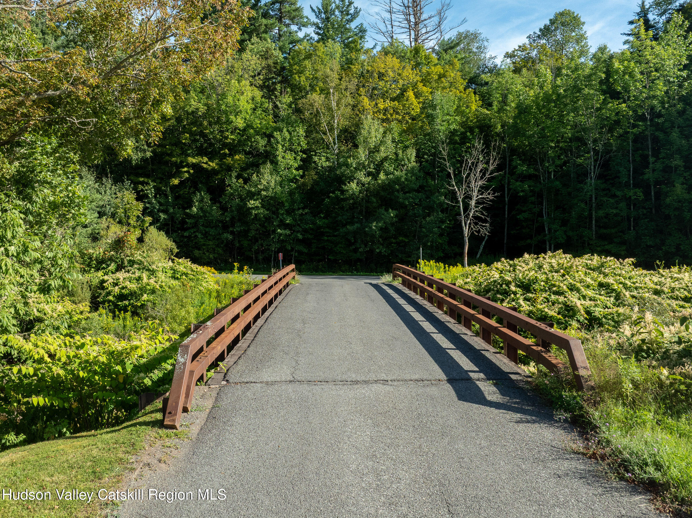 3 Leon Macglashan Road Windham, NY 12454 - Photo 38 of 38 Driveway Entry