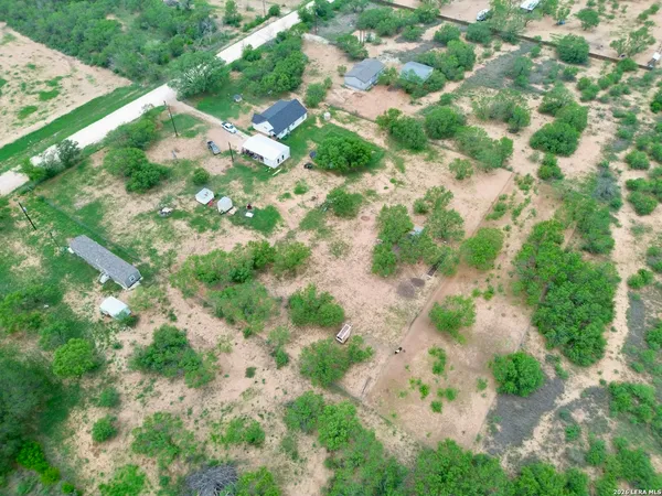 a yard with a plant