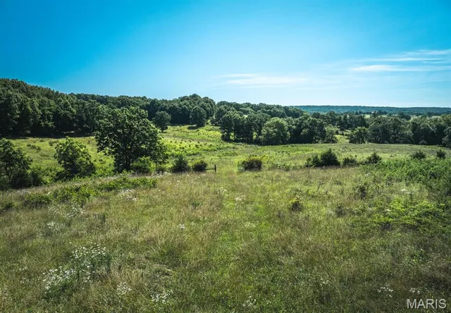 $199,900 | 0 County Road 6190, Edgar Springs, MO 65462