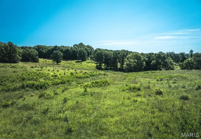 $199,900 | 0 County Road 6190, Edgar Springs, MO 65462