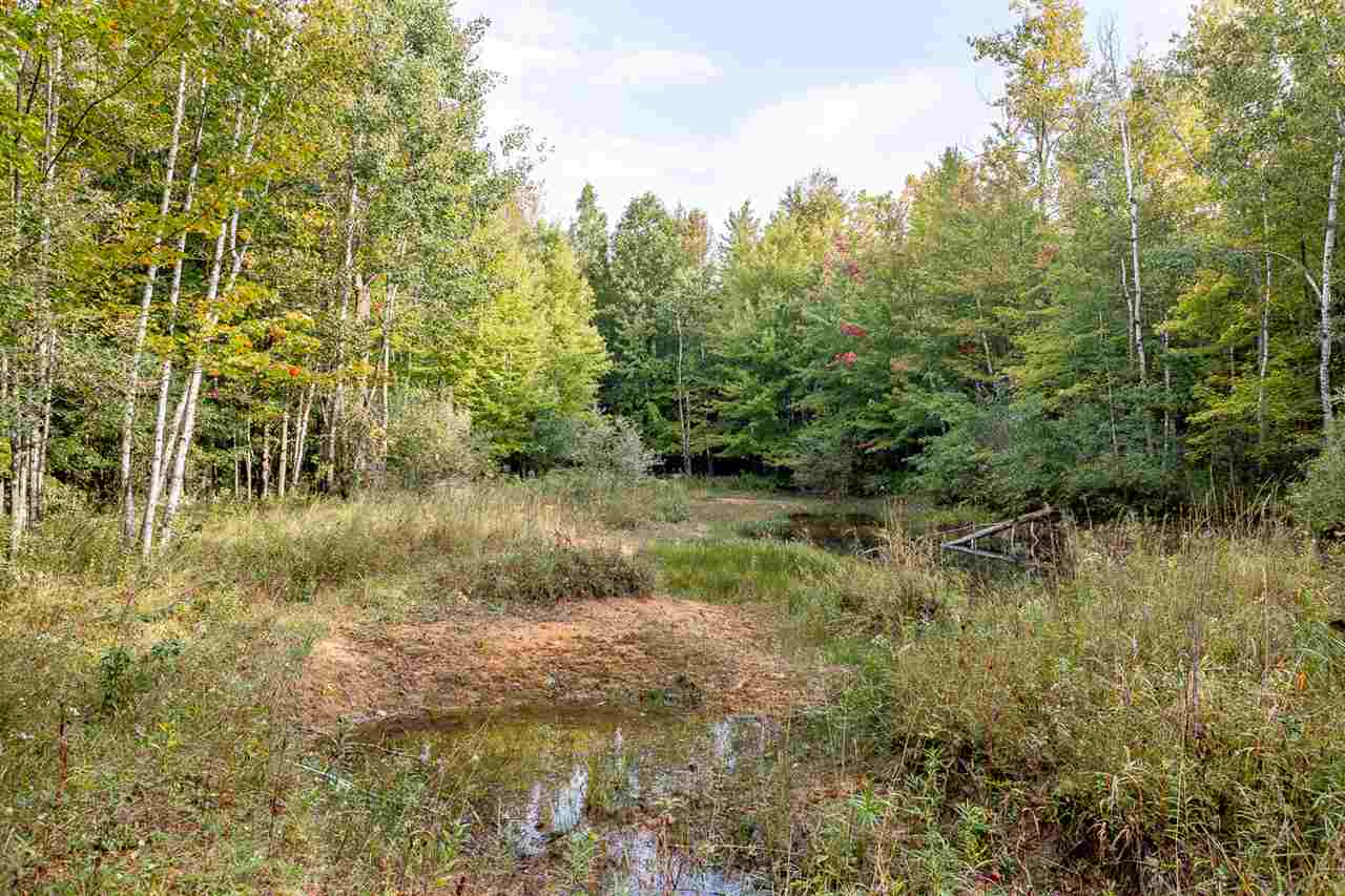 3580 South Merrill Road Merrill, MI 48637 - Photo 27 of 30