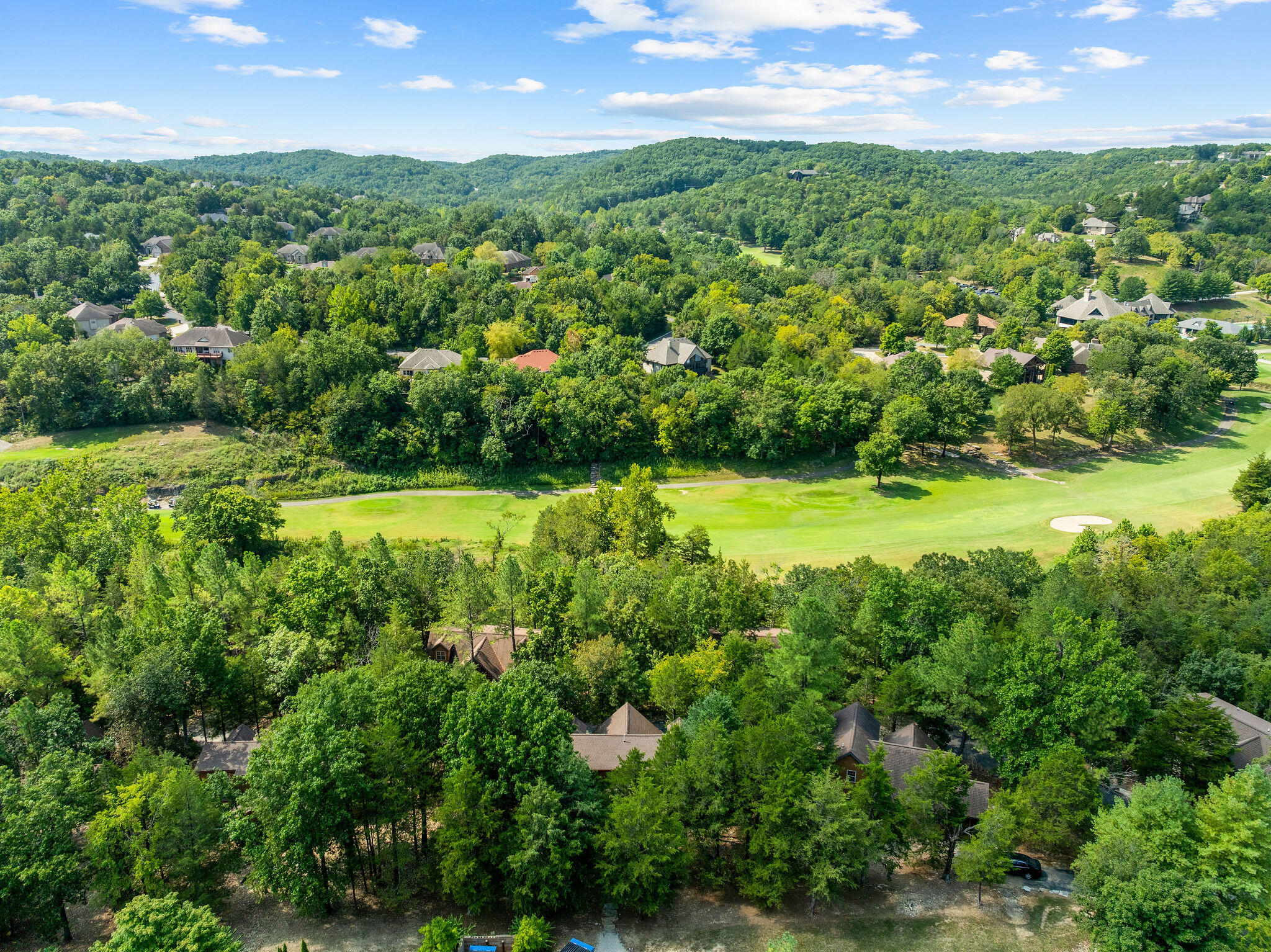72 Lost Creek Circle, Unit 8 Reeds Spring, MO 65737 - Photo 57 of 82 DJI_0405
