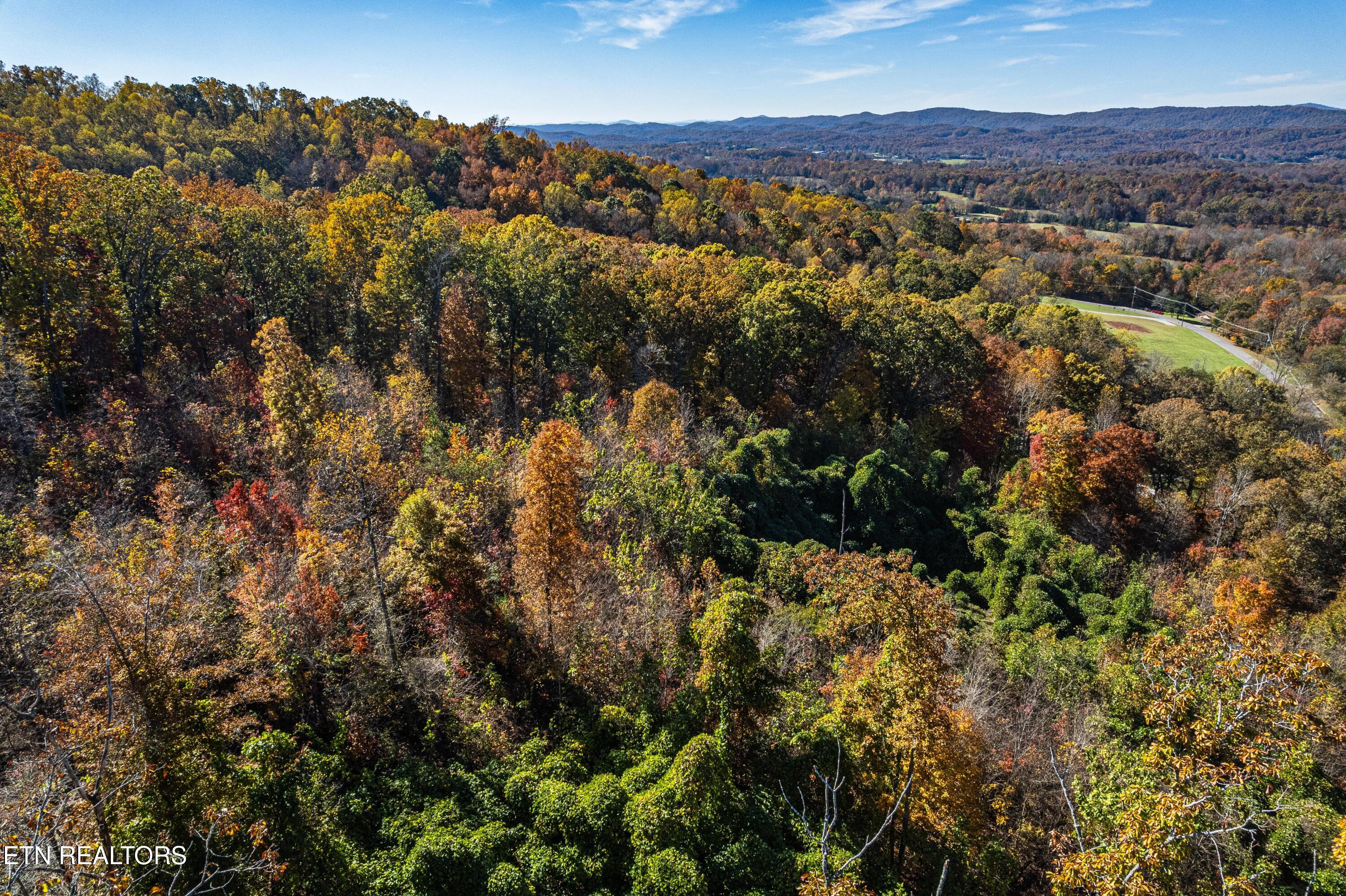 247 Mahoney Road Oliver Springs, TN 37840 - Photo 2 of 7 DJI_0746