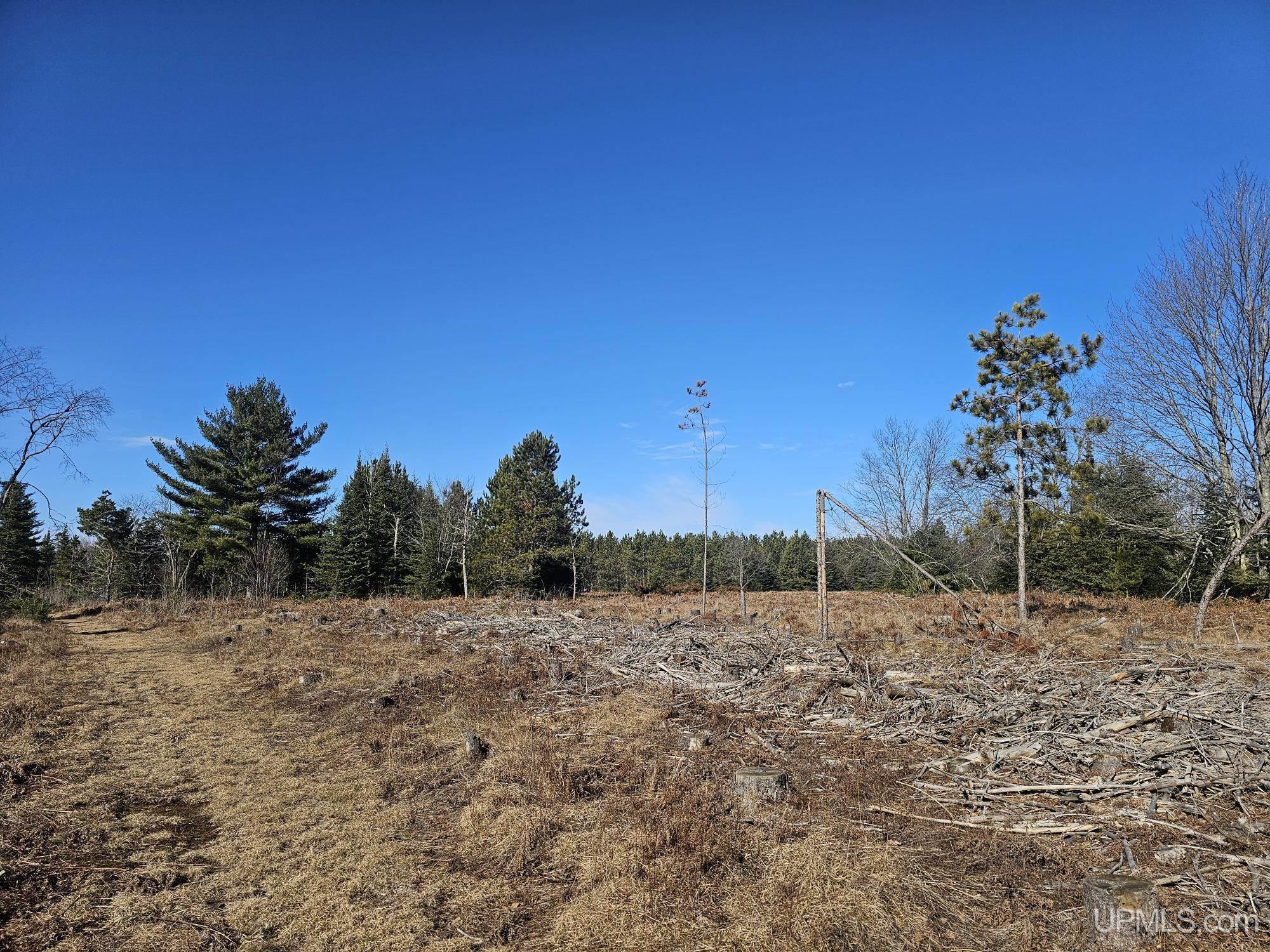 2467 Little Harbor Road Manistique, MI 49854 - Photo 37 of 68 Gallery Image 37
