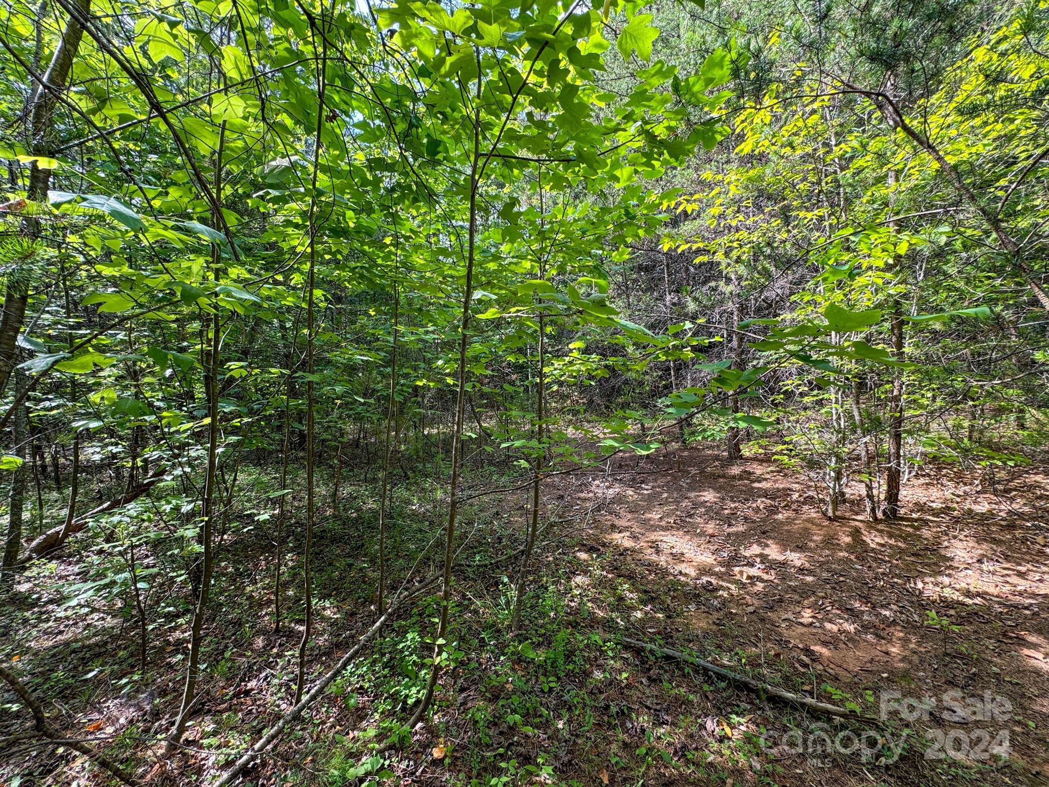 Tbd Taylor Farm Road Lenoir, NC 28645 - Photo 15 of 34 Gallery Image 15