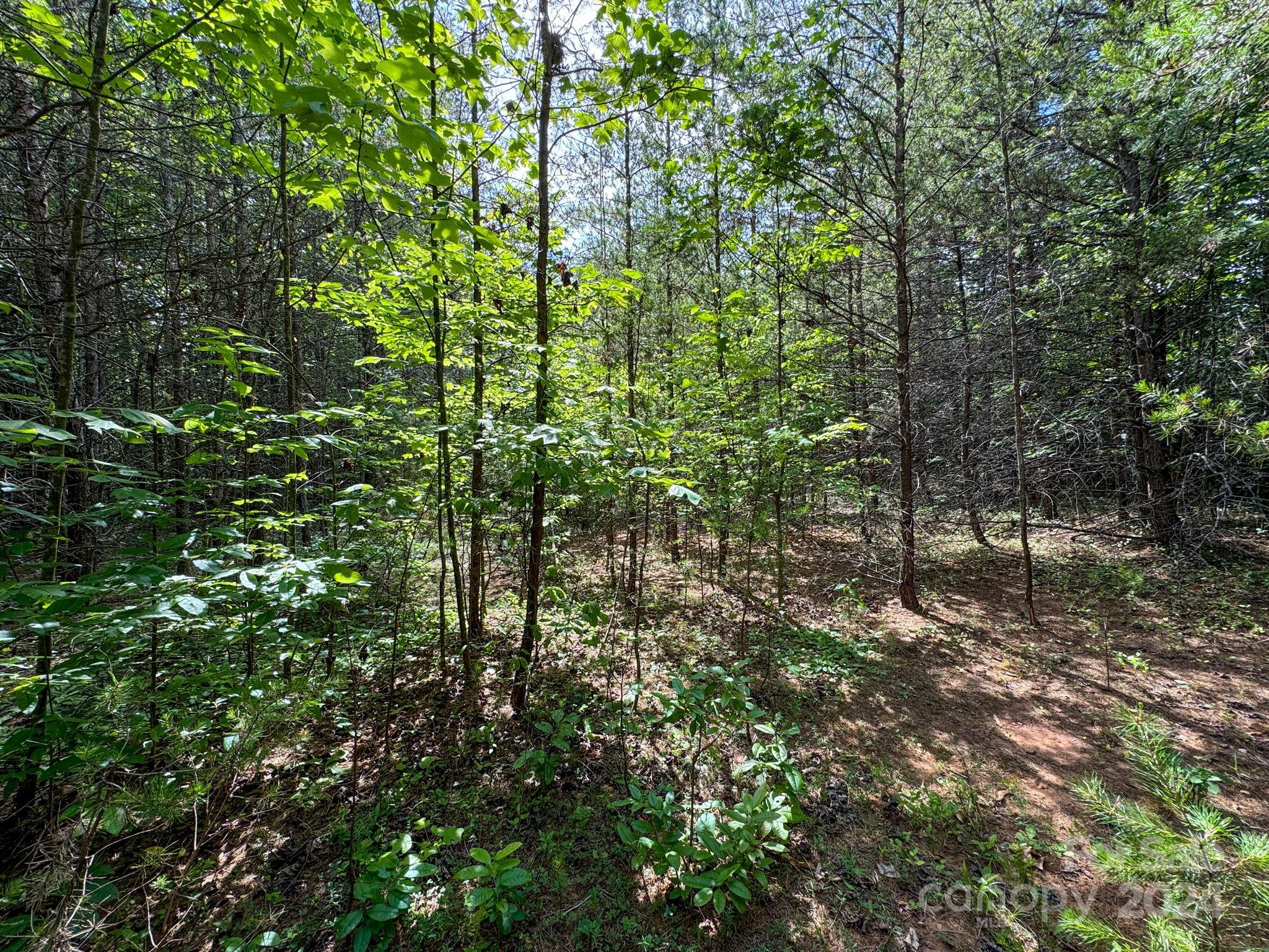 Tbd Taylor Farm Road Lenoir, NC 28645 - Photo 18 of 34 Gallery Image 18