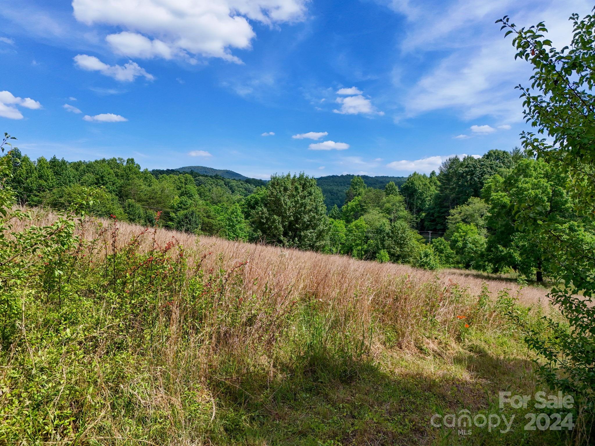 Tbd Taylor Farm Road Lenoir, NC 28645 - Photo 3 of 34 Gallery Image 3