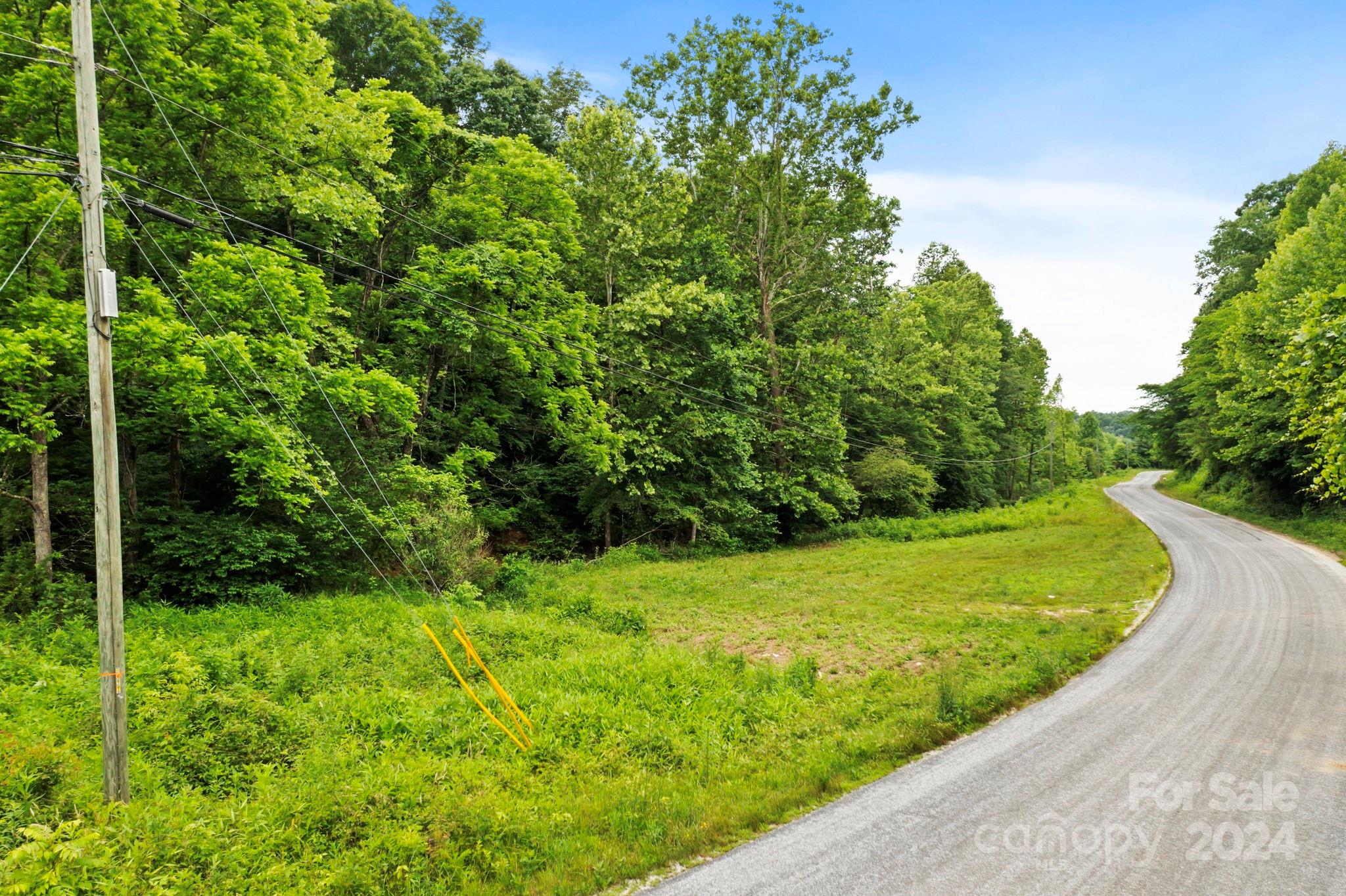 Tbd Taylor Farm Road Lenoir, NC 28645 - Photo 6 of 34 Gallery Image 6