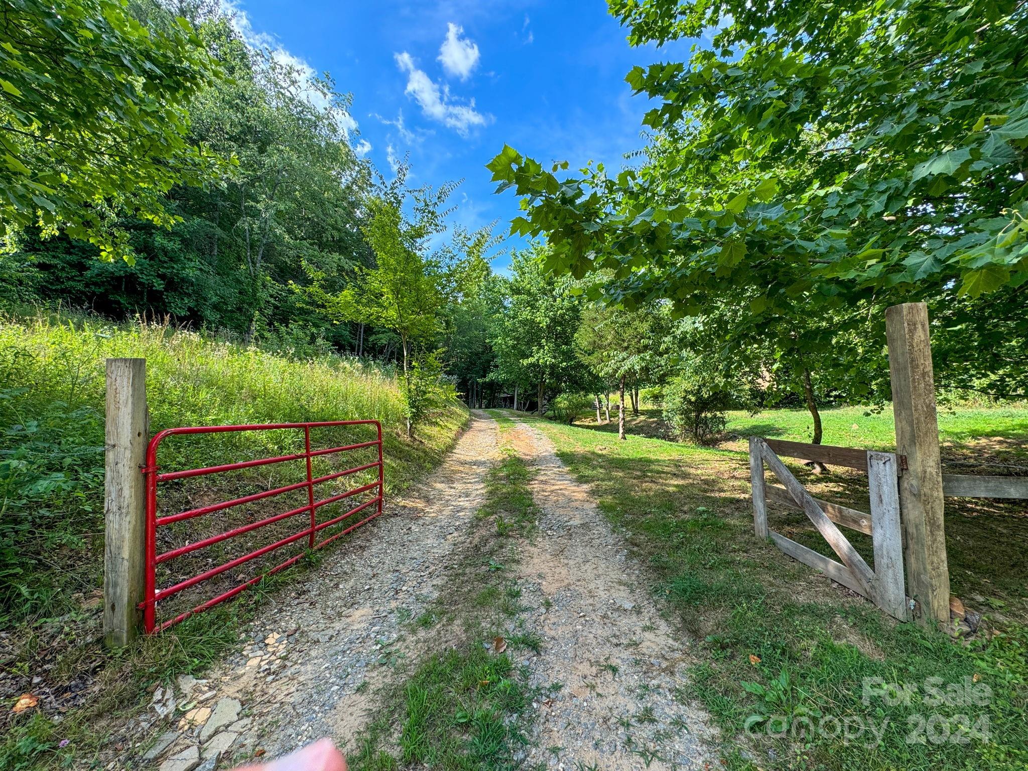 Tbd Taylor Farm Road Lenoir, NC 28645 - Photo 8 of 34 Gallery Image 8
