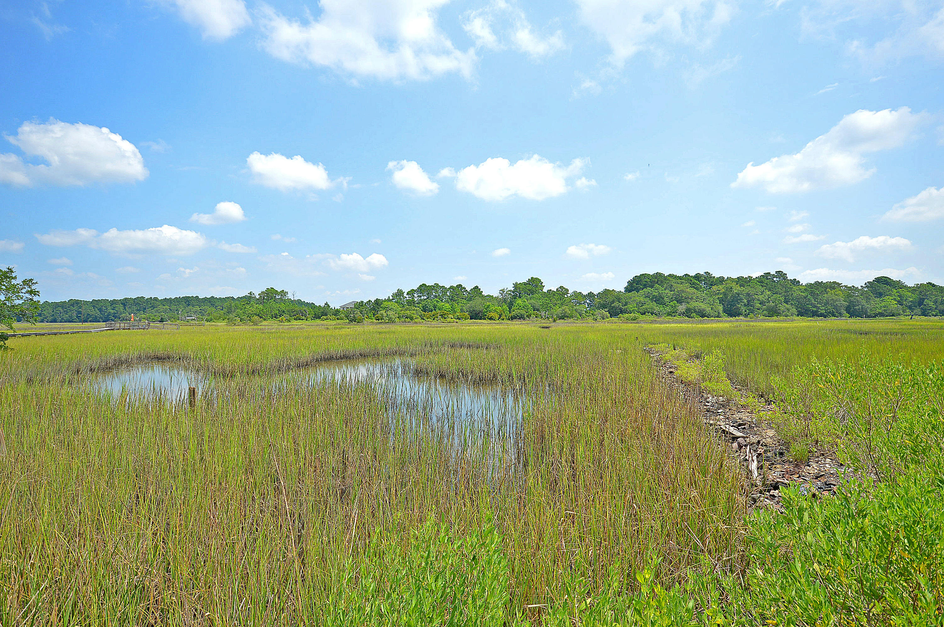 1295 River Road Johns Island, SC 29455 - Photo 1 of 36 Marsh Front