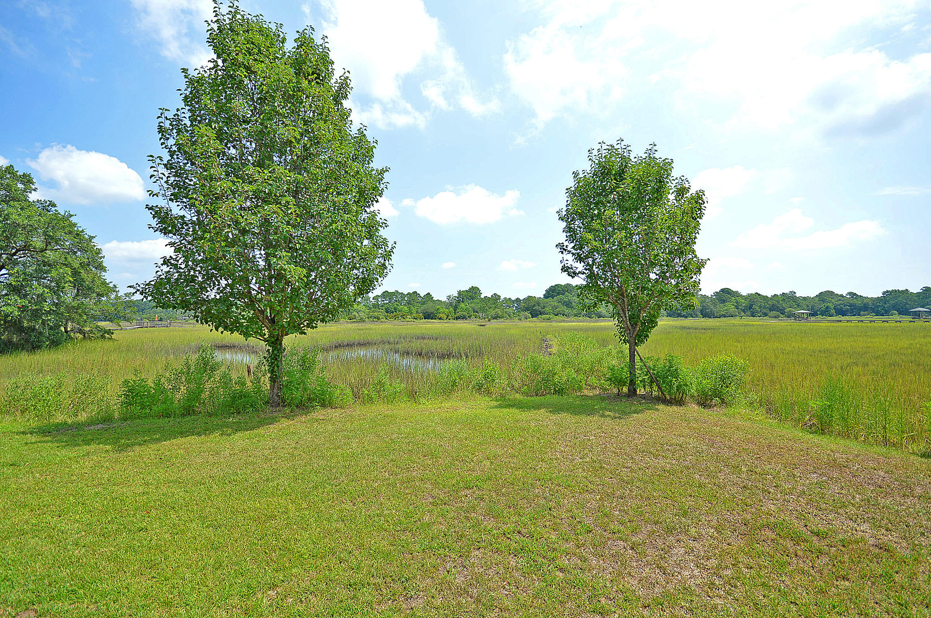 1295 River Road Johns Island, SC 29455 - Photo 5 of 36 Marsh Front
