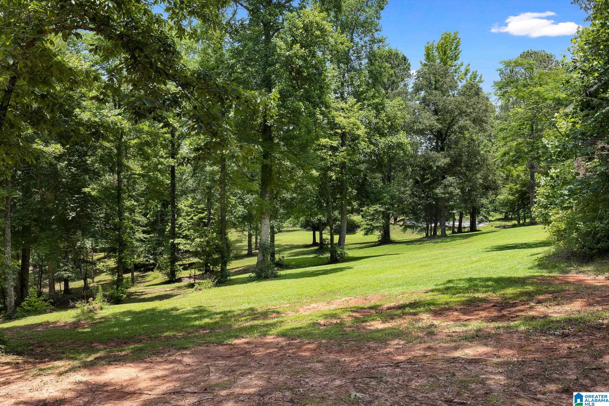 575 Mountain View Lane Springville, AL 35146 - Photo 52 of 84