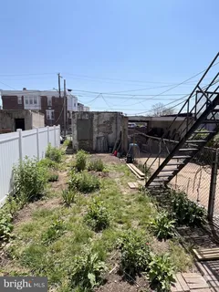 a view of a backyard with plants