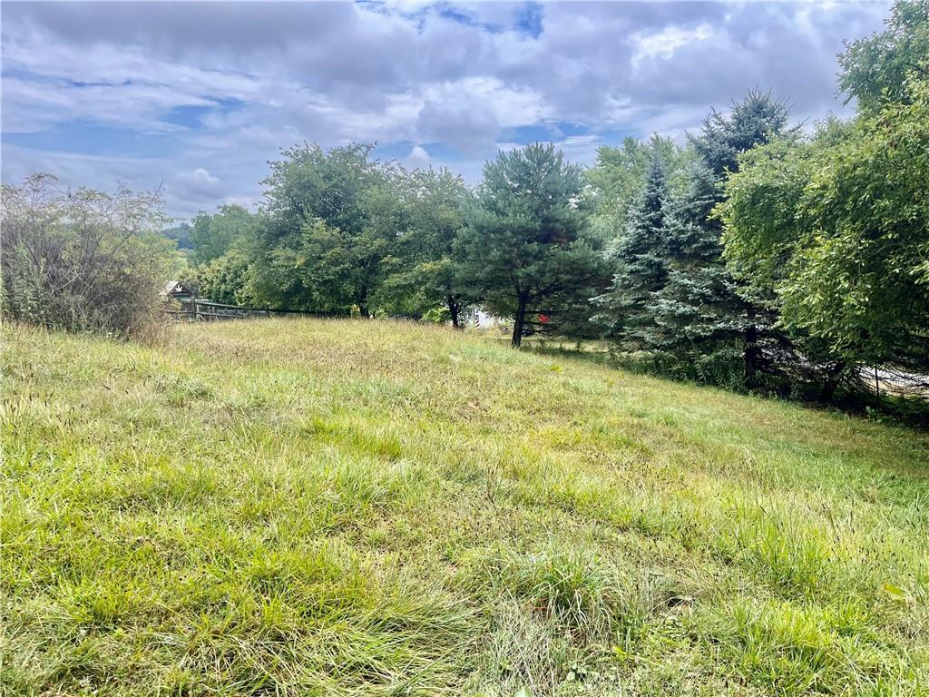 946 Herman Butler, PA 16002 - Photo 6 of 20 a view of outdoor space and yard
