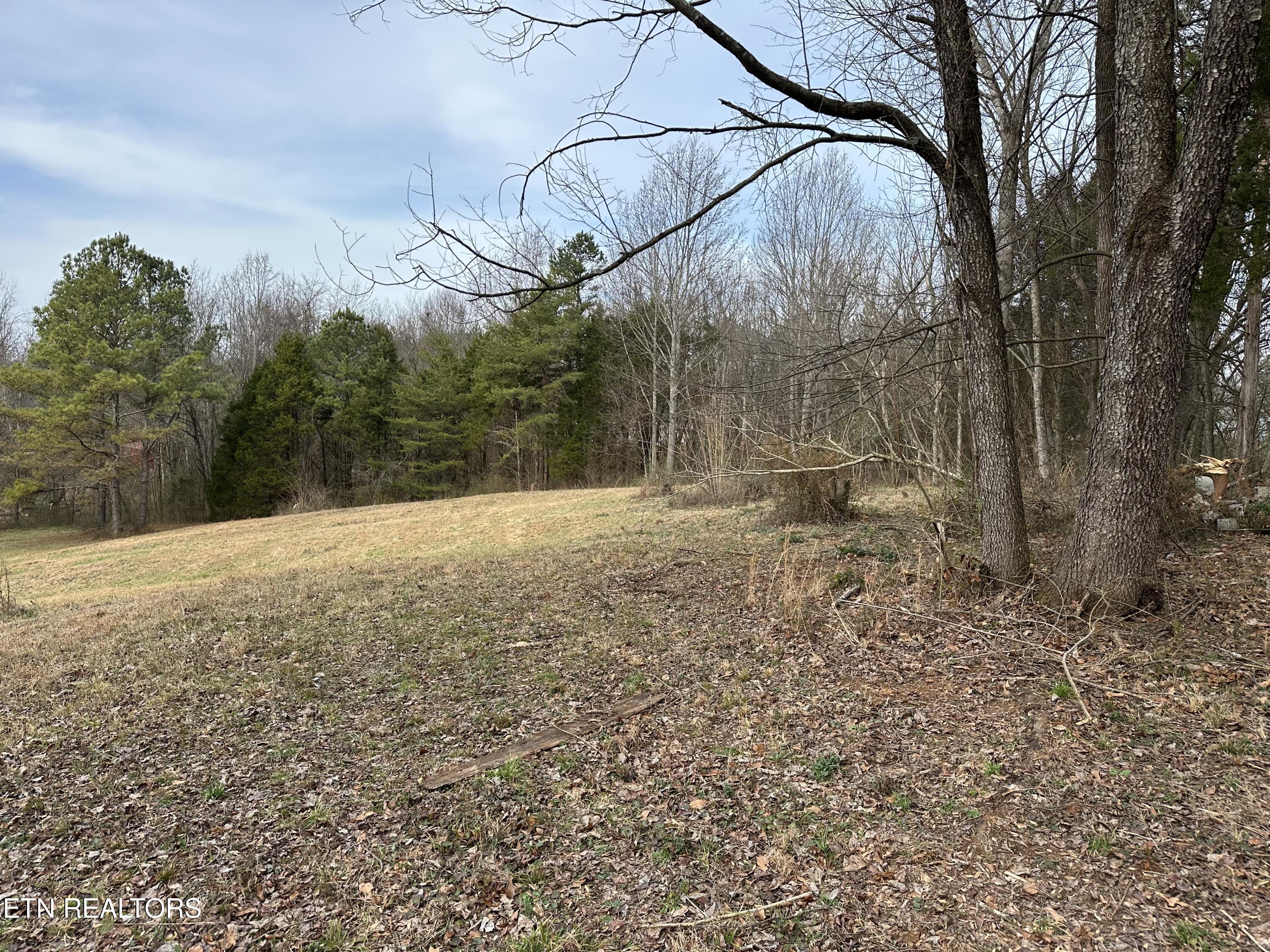 Lot3-r2 Sweetwater Vonore Road Sweetwater, TN 37874 - Photo 4 of 9 IMG_8548