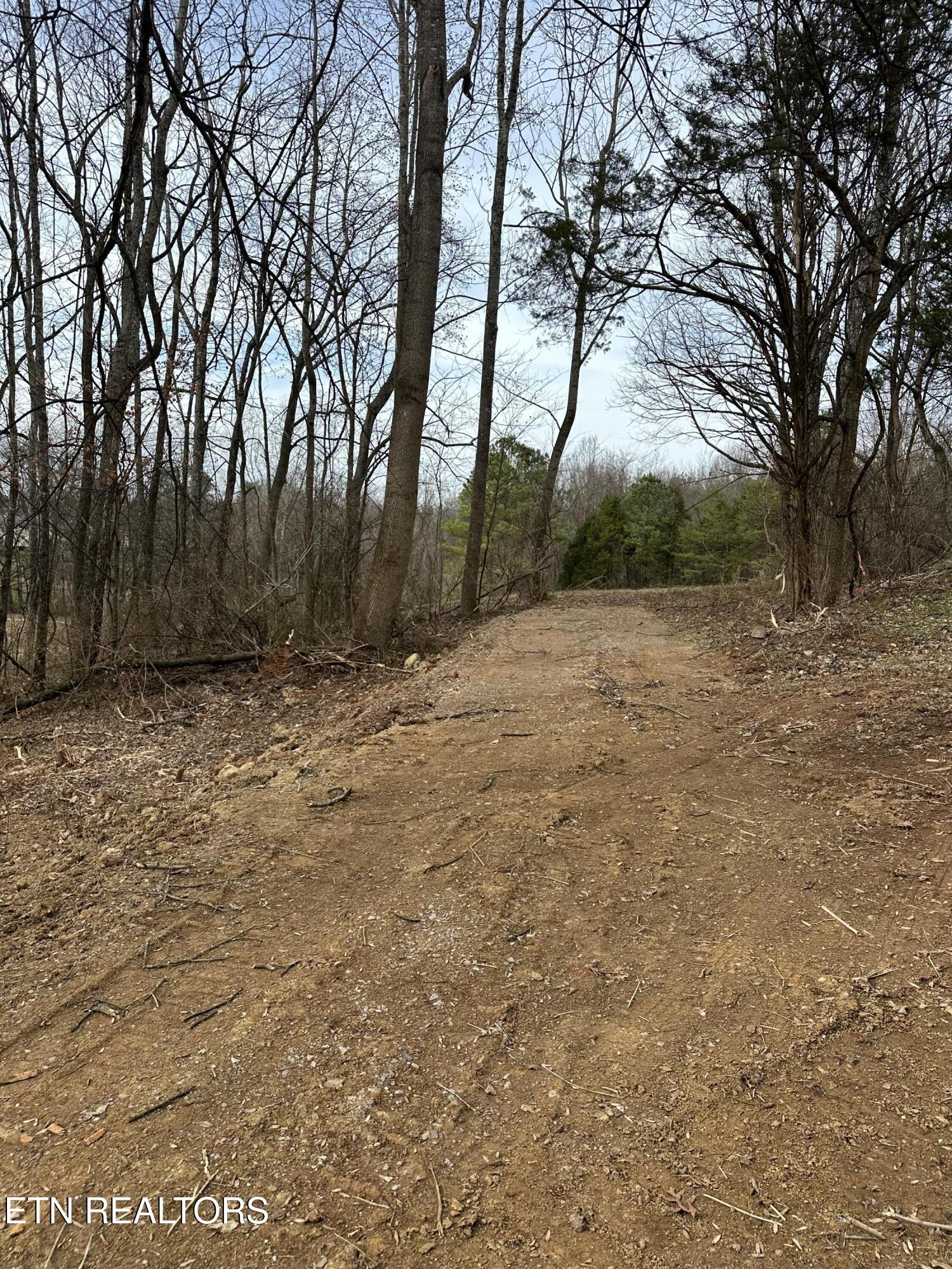 Lot3-r2 Sweetwater Vonore Road Sweetwater, TN 37874 - Photo 5 of 9 IMG_8547