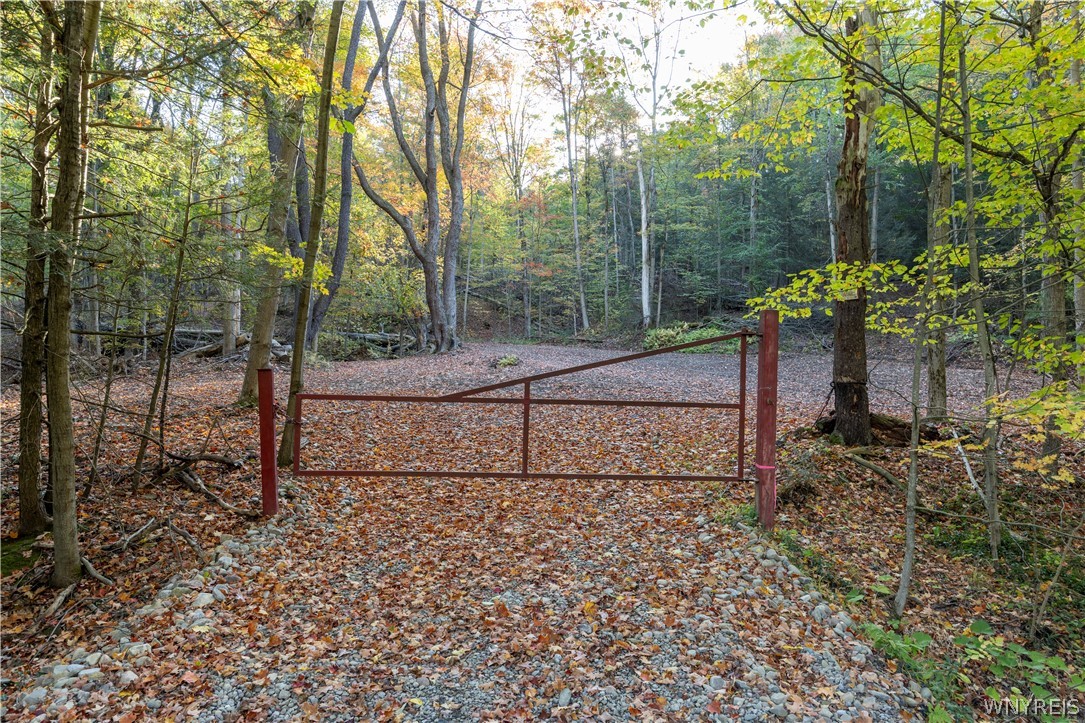 9881-9937 Larkin Road Eden, NY 14057 - Photo 1 of 31