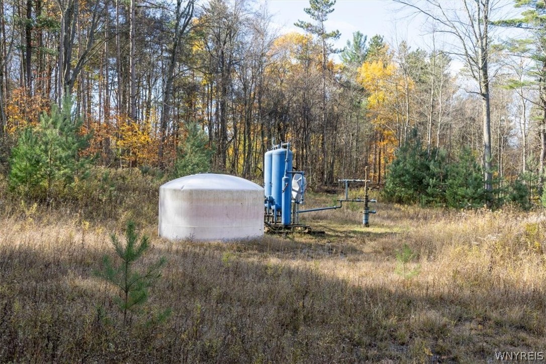 9881-9937 Larkin Road Eden, NY 14057 - Photo 12 of 31