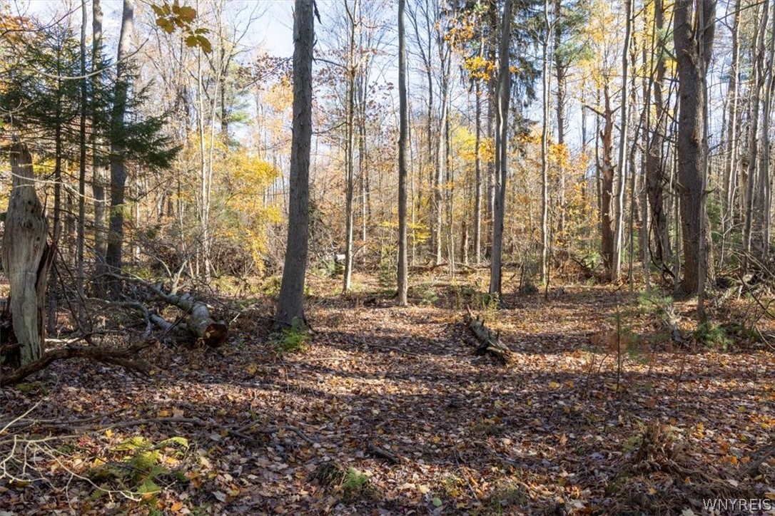 9881-9937 Larkin Road Eden, NY 14057 - Photo 20 of 31