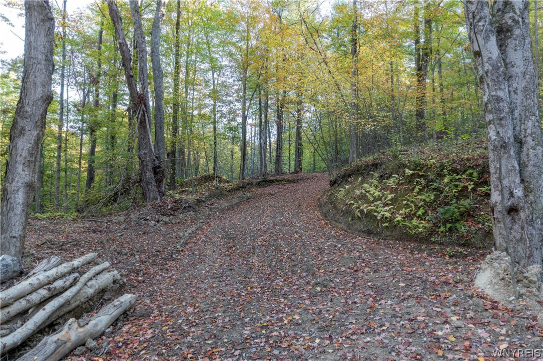 9881-9937 Larkin Road Eden, NY 14057 - Photo 2 of 31