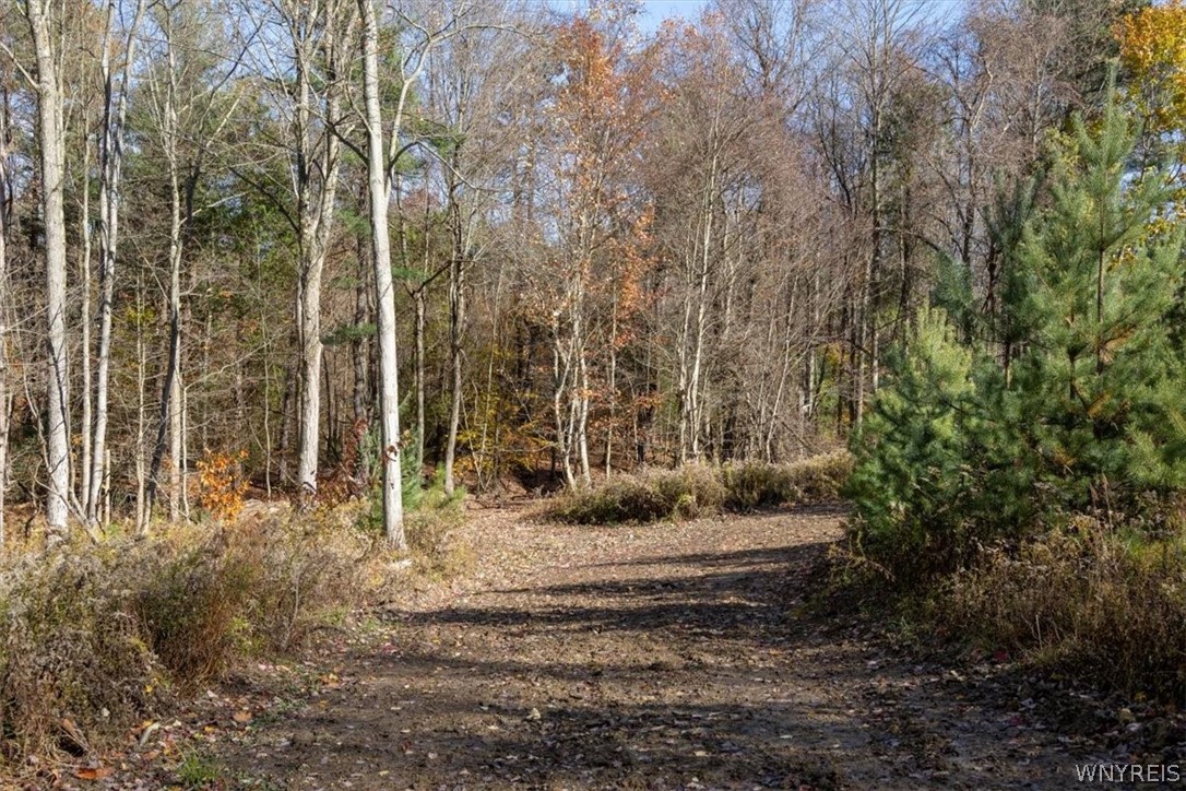 9881-9937 Larkin Road Eden, NY 14057 - Photo 27 of 31