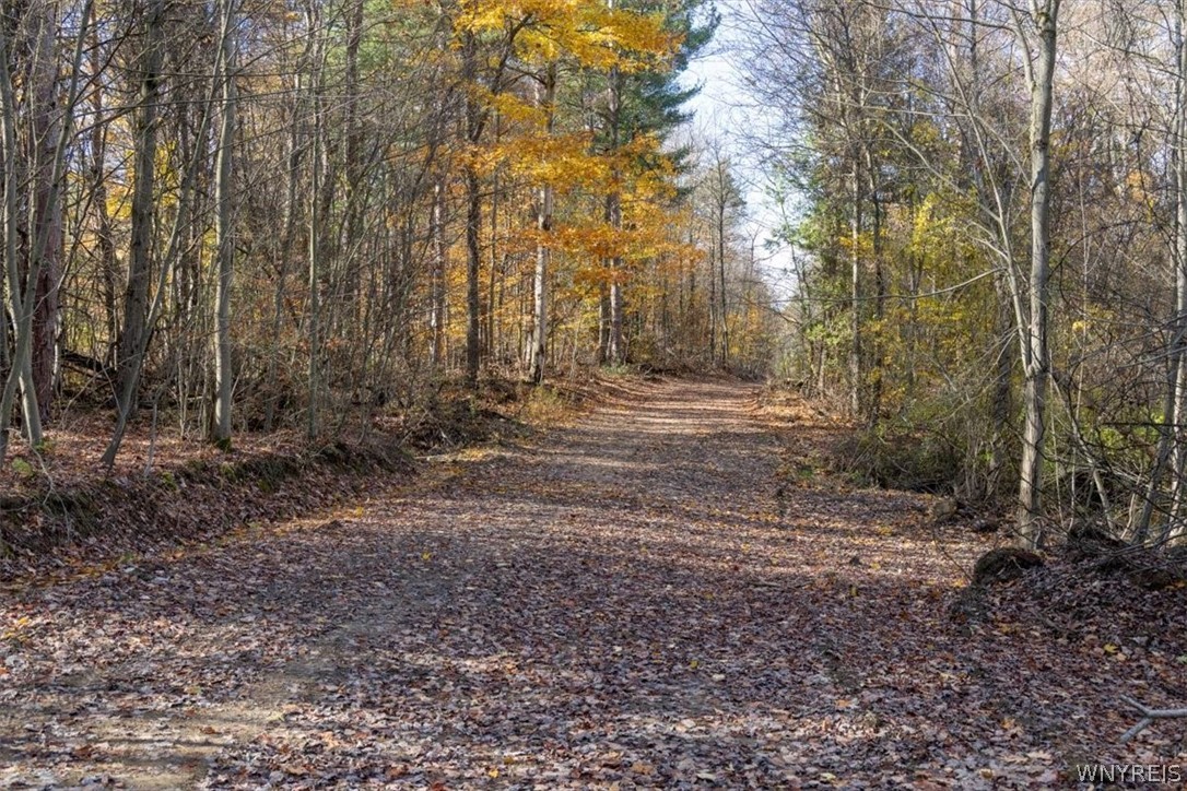 9881-9937 Larkin Road Eden, NY 14057 - Photo 28 of 31