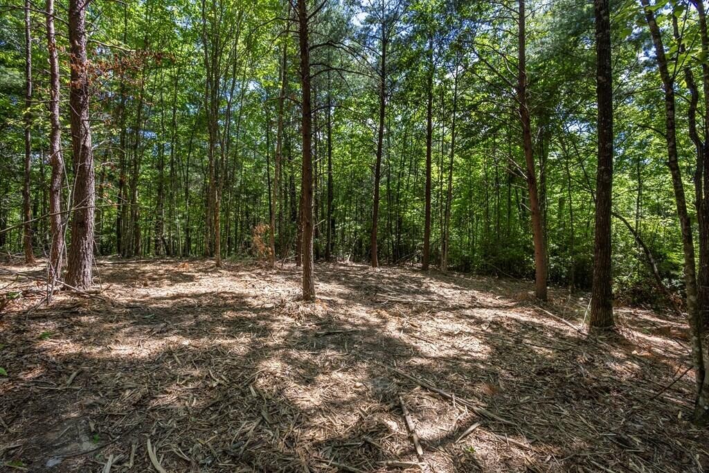 20 Pack Mountain Road Murphy, NC 28906 - Photo 18 of 20 Gallery Image 18