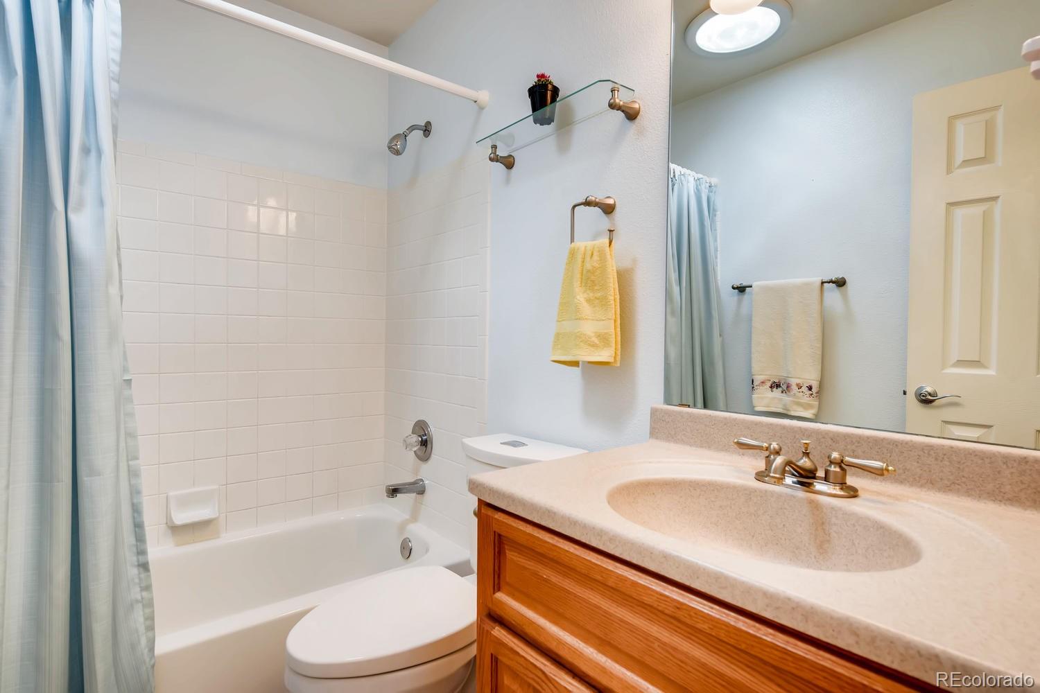 9840 South Castle Ridge Circle Highlands Ranch, CO 80129 - Photo 19 of 28 a bathroom with a granite countertop sink toilet and shower