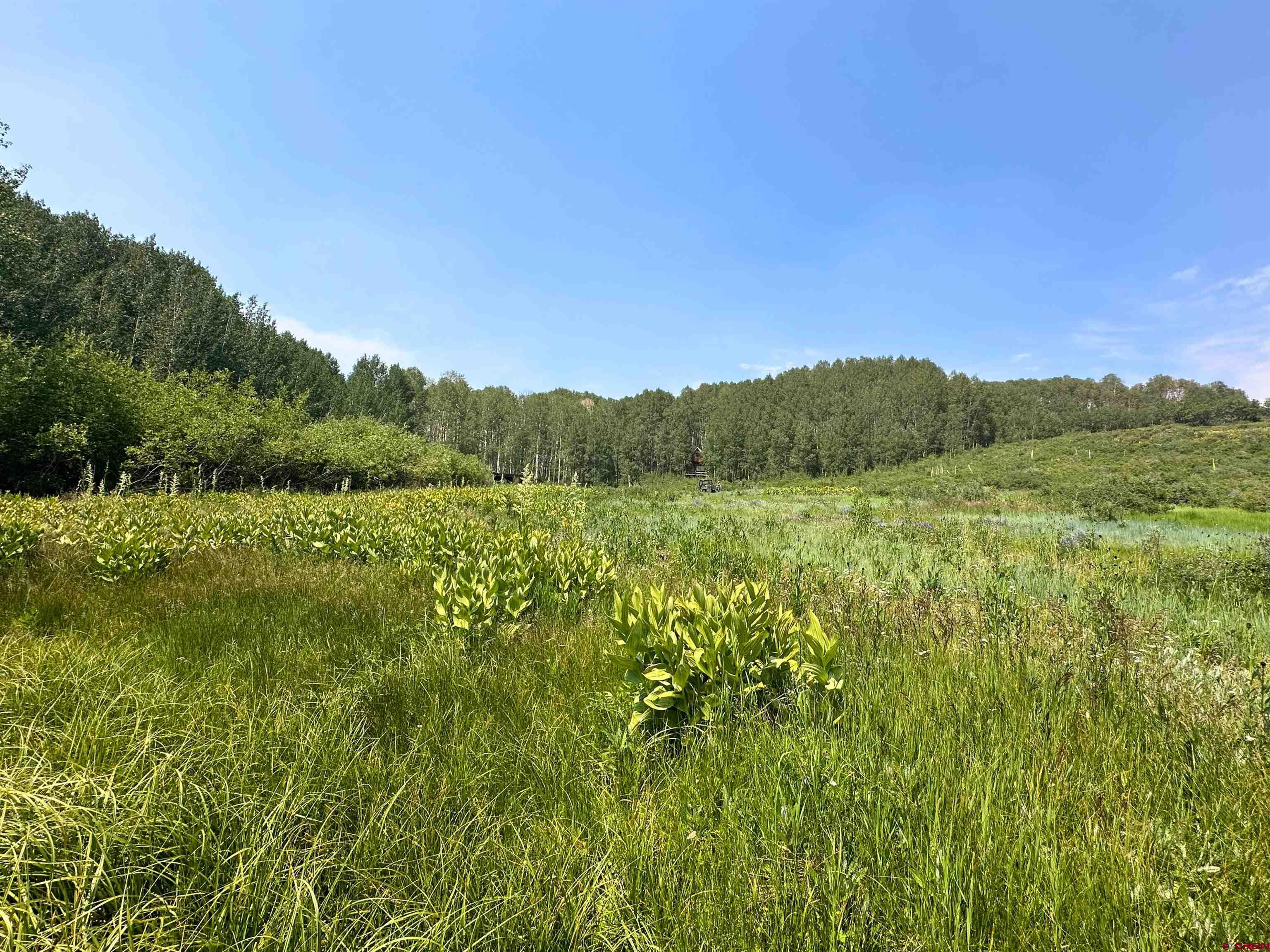 37081 Roatcap Road Paonia, CO 81428 - Photo 32 of 35