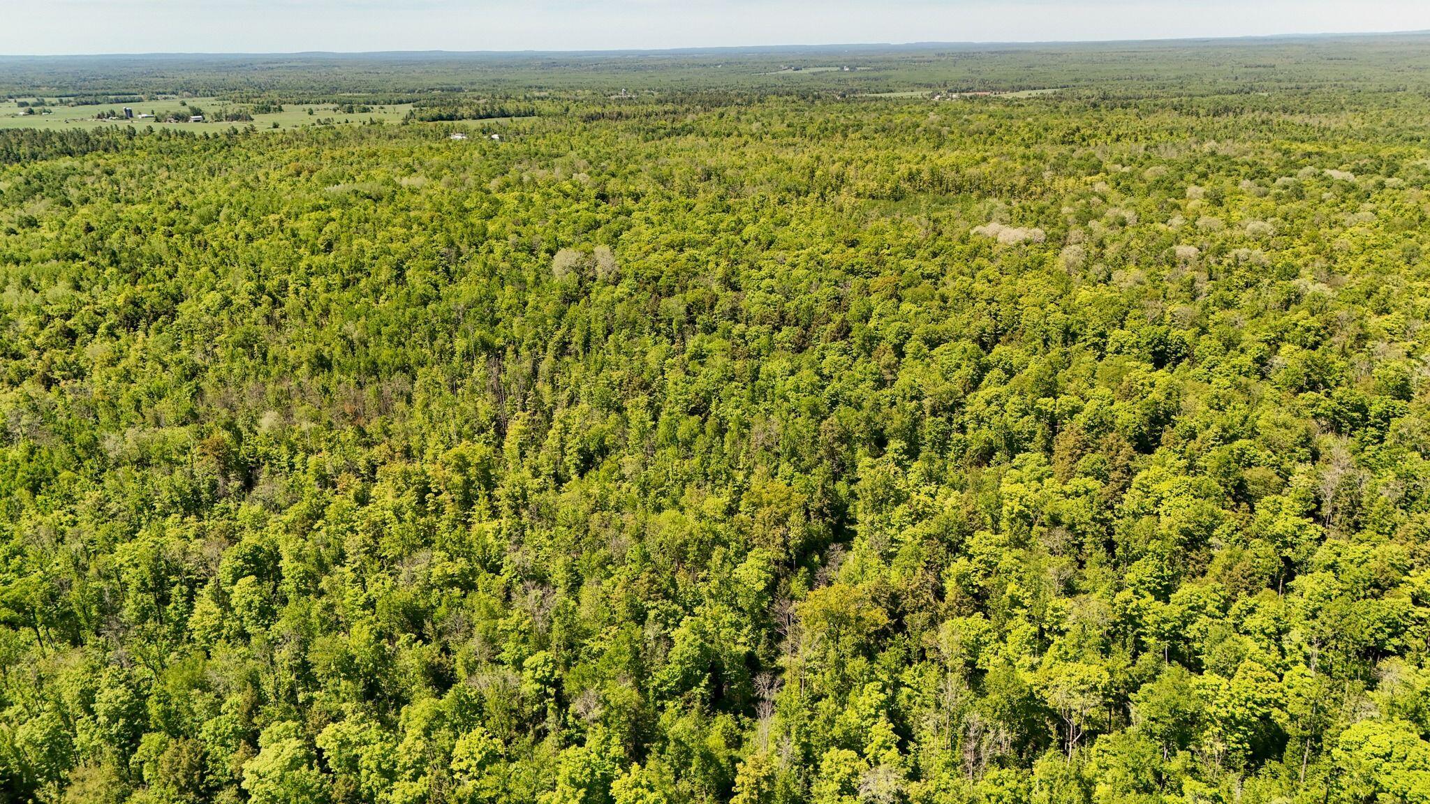 DJI_20260602001836_0739_D