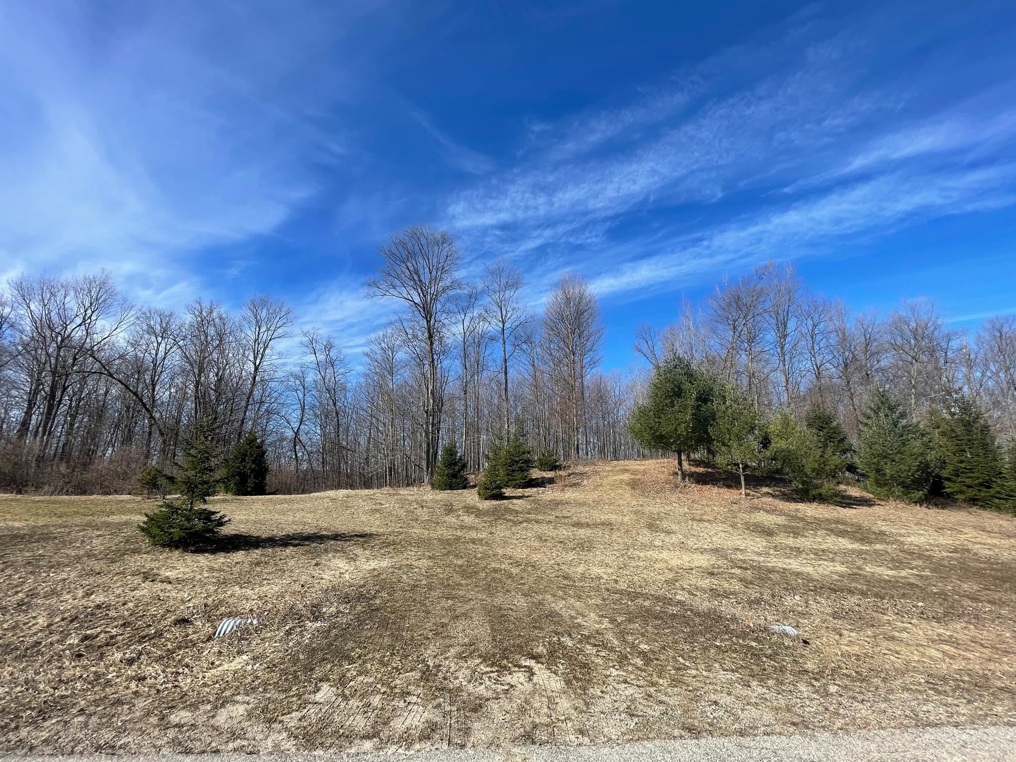 6464 Florey's Ranch Road Grawn, MI 49637 - Photo 1 of 9